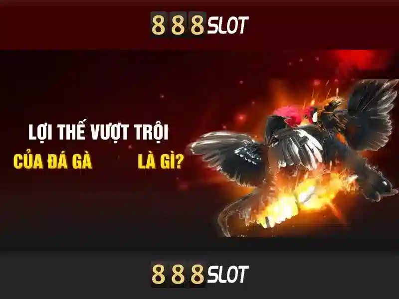 king 888 slot – Tổng quan chủ đề và giá trị cốt lõi