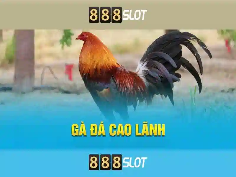 abc slot 888 link alternatif – Tổng quan chủ đề và giá trị cốt lõi