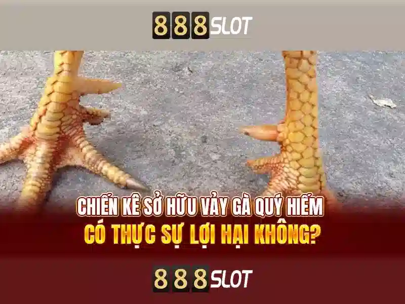 Nguồn gốc và sứ mệnh của 888slots login