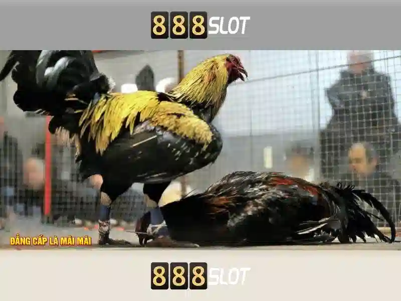 Giới thiệu về 888slot