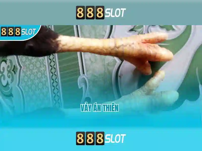 Danh gia that chat ve thuong hieu slot auto 888