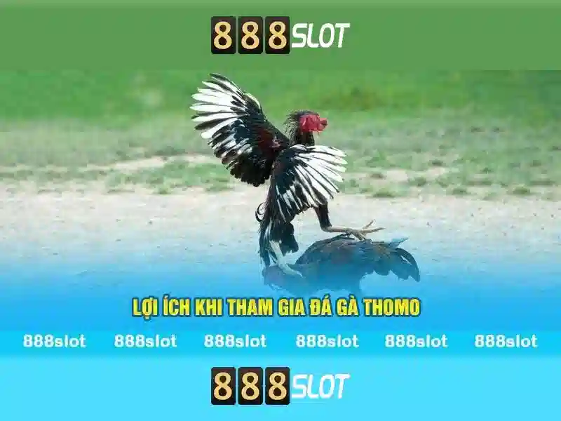 Hỗ trợ khách hàng và trải nghiệm người chơi