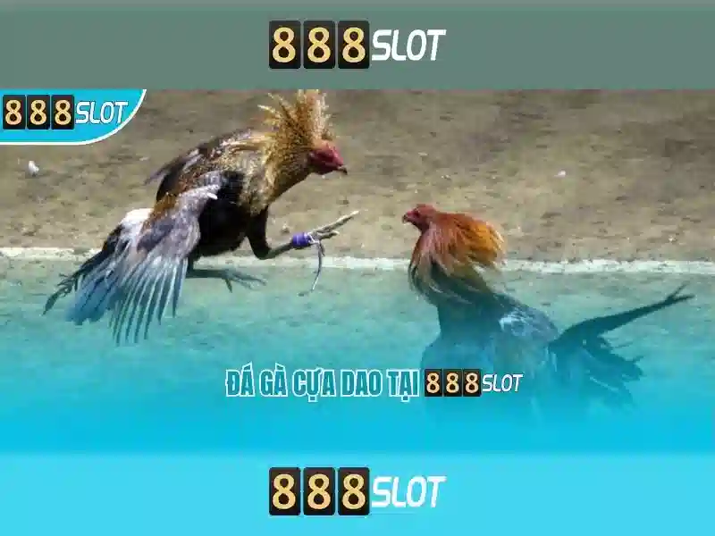 Giới thiệu về 888slot
