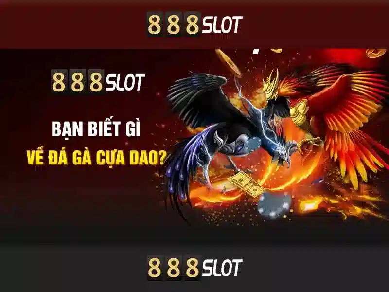 An toàn và quyền riêng tư