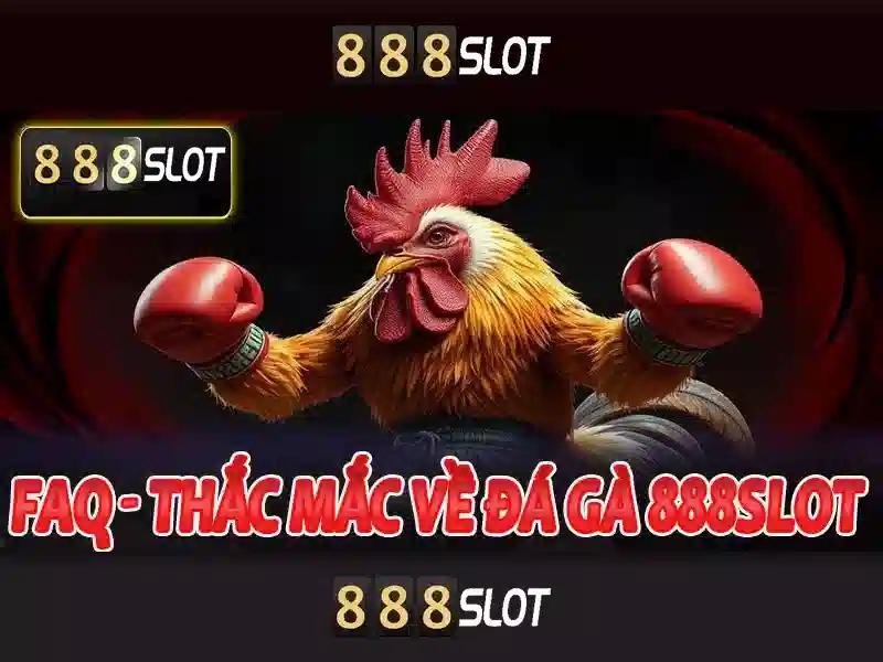Giao diện và trải nghiệm người dùng