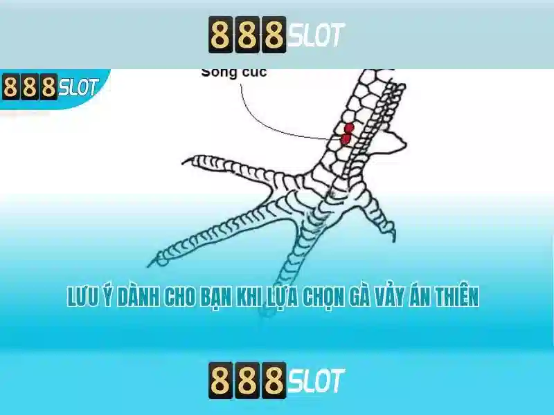 888slot: Nền tảng casino trực tuyến đáng tin cậy và giải trí