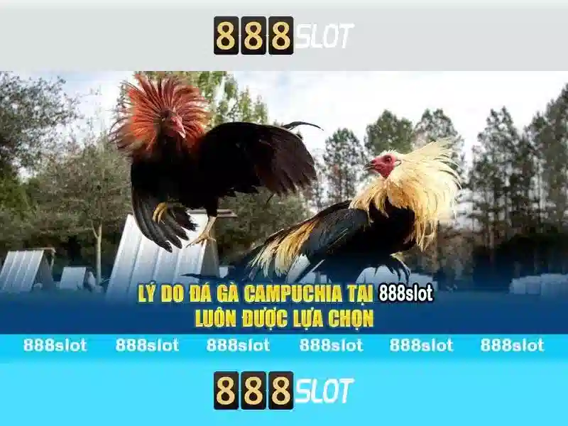 888slot – Nền tảng Slot Trực tuyến Đáng tin cậy
