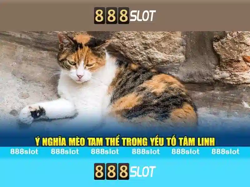 888slot - Nền tảng casino trực tuyến uy tín và hấp dẫn