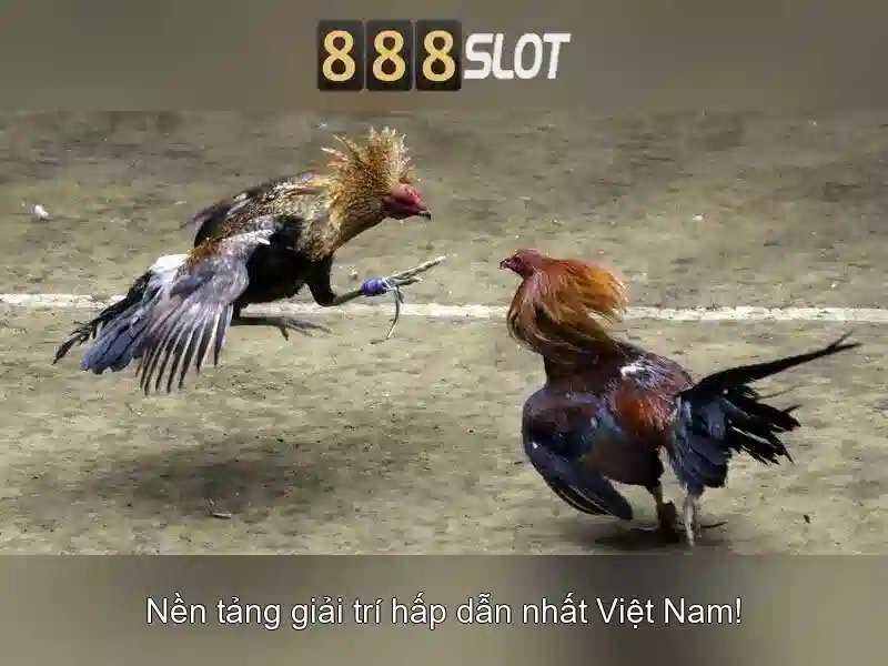 Khuyến mãi và chương trình thưởng
