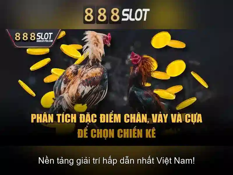 Cung cap tro choi da dang
