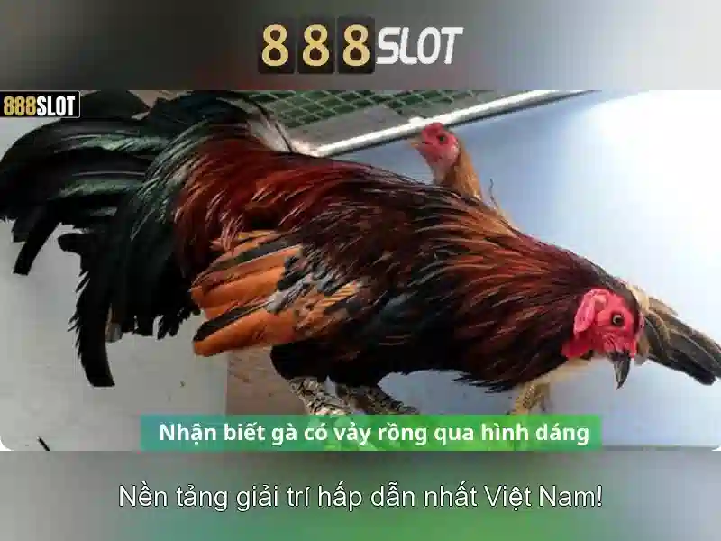 Khuyến mãi và chương trình thưởng