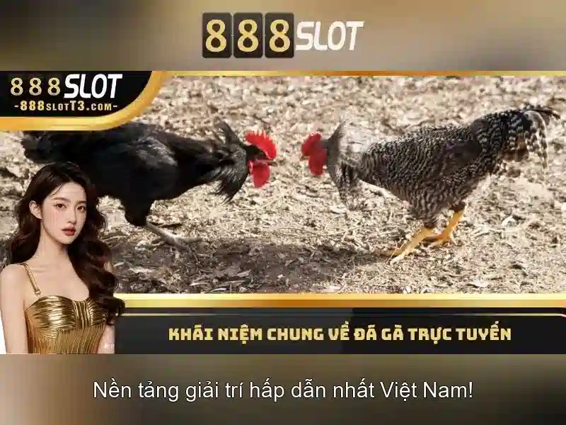 Khuyến mãi và ưu đãi