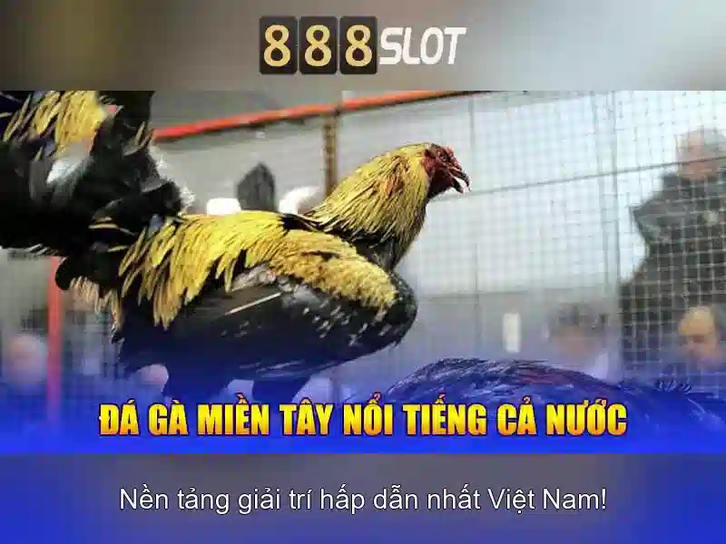 Khuyến mãi và chương trình thưởng