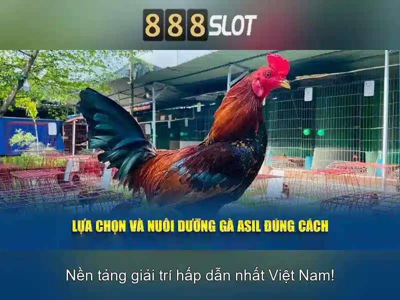 Giới thiệu về 888slot\n\n