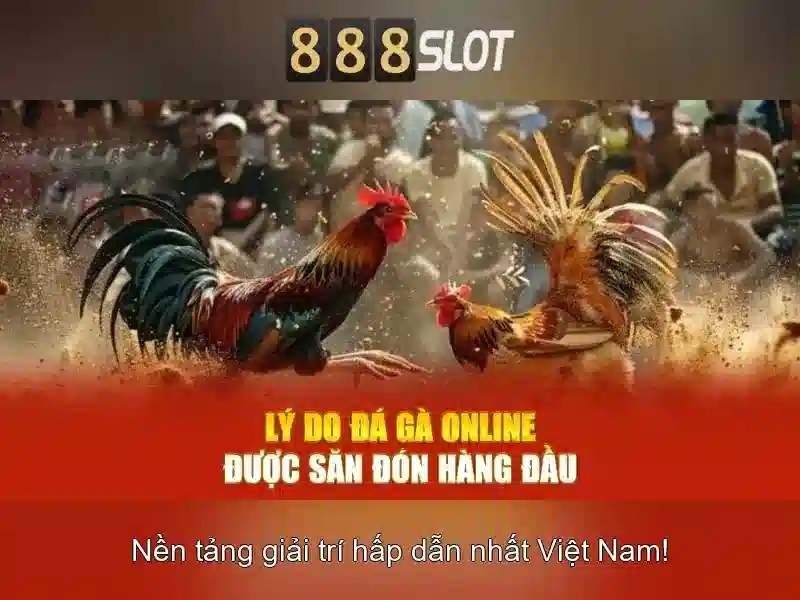 Khuyến mãi và trải nghiệm người dùng