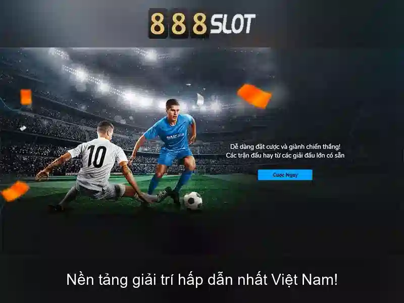 Khuyến mãi và dịch vụ hỗ trợ