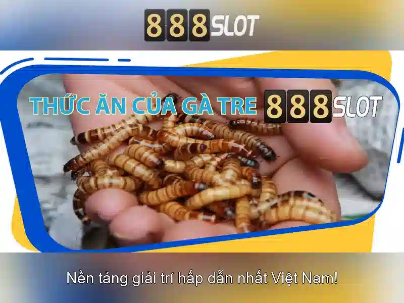 888slot - Trải nghiệm chơi slots trực tuyến hàng đầu